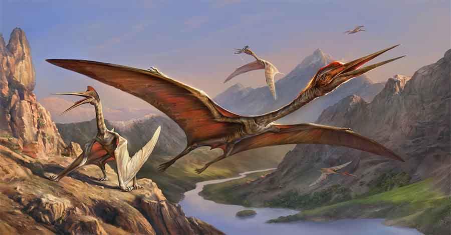 the-dinosaurs.com