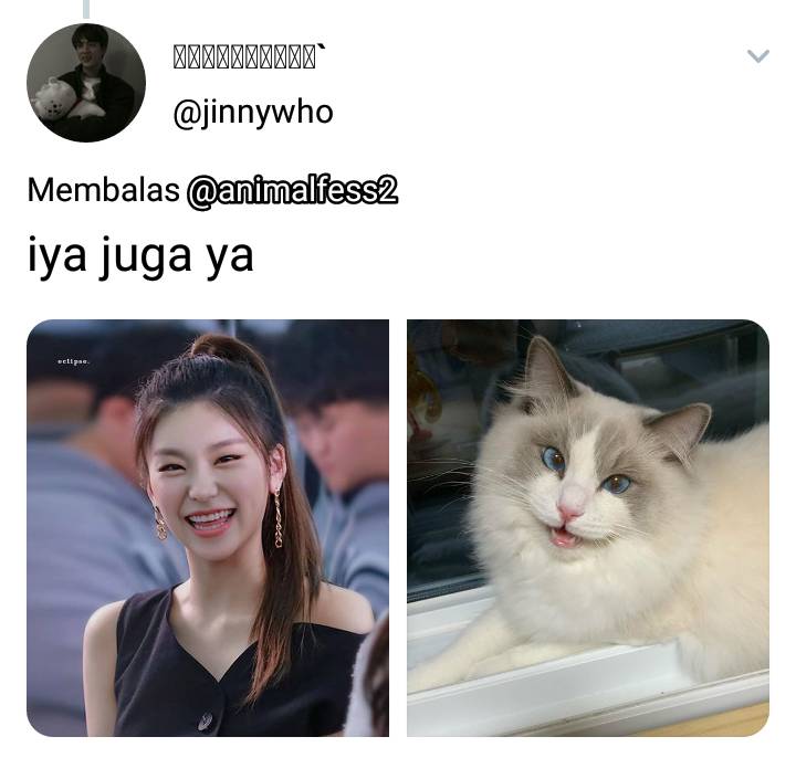 twitter.com/jinnywho