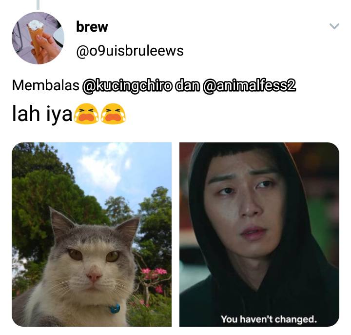 twitter.com/o9uisbruleews