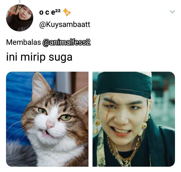 twitter.com/Kuysambaatt