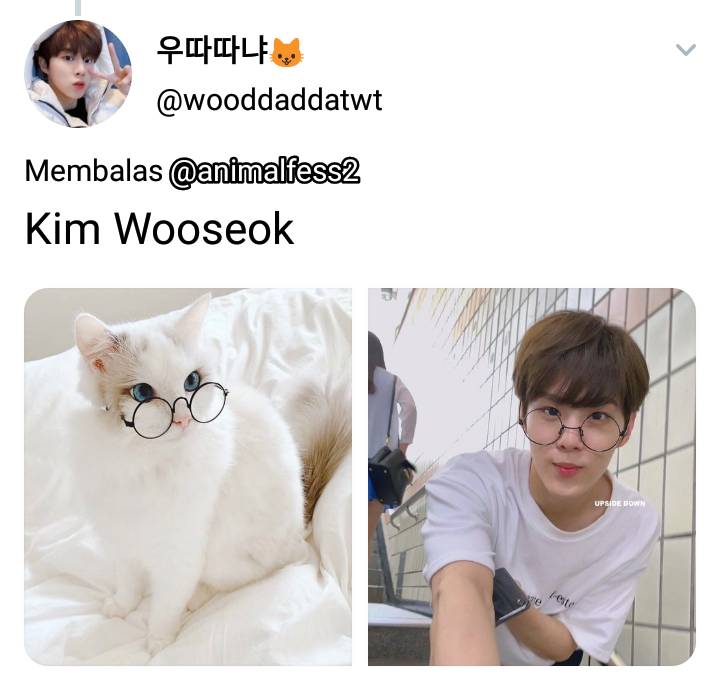 twitter.com/wooddaddatwt