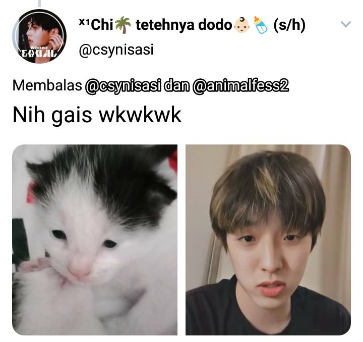 twitter.com/csynisasi