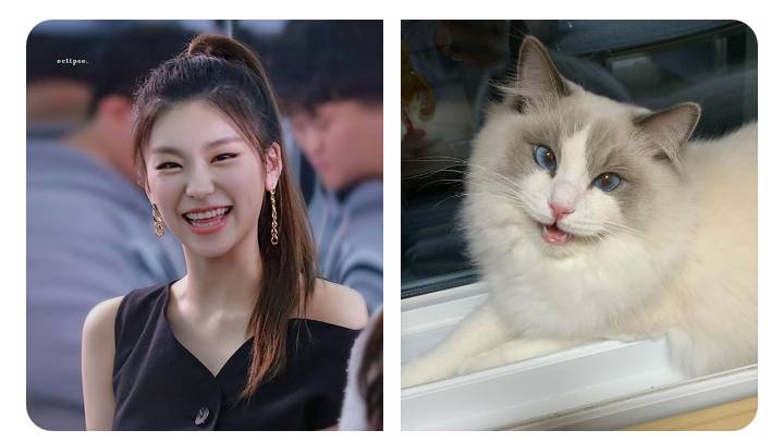twitter.com/jinnywho