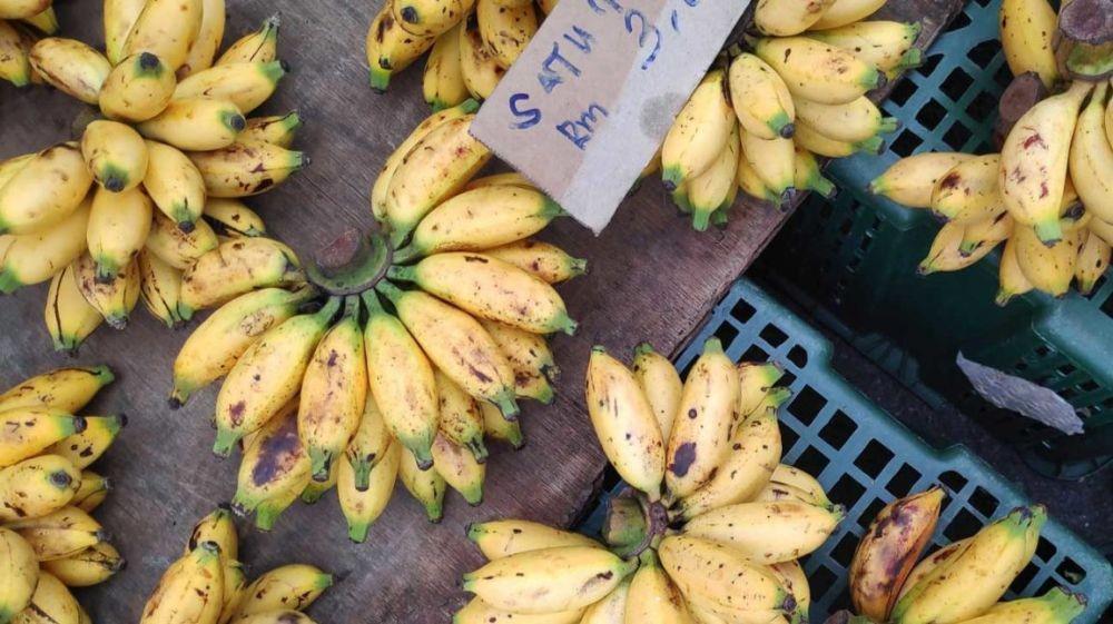 10 Jenis Pisang yang Paling Populer di Indonesia, Mana Kesukaanmu?