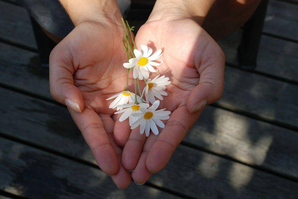 Pixabay/GLady