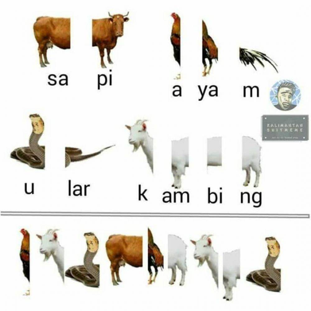 Instagram.com/bijikersejati