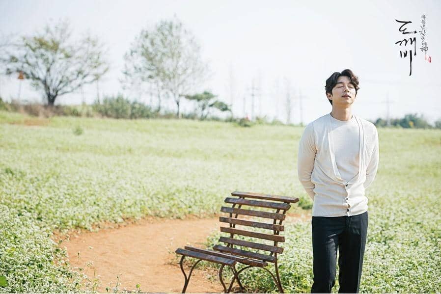 dok. tvn