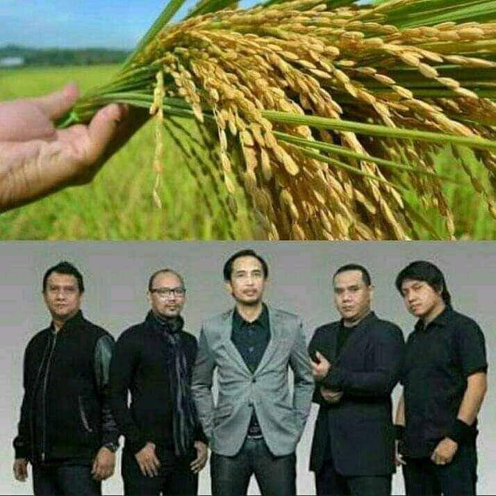 Instagram.com/asupanmemekocak