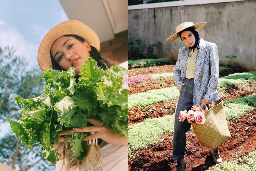 Menyontek Kebun Artis, Ini 9 Tanaman Sayur yang Cocok Ditanam di Rumah