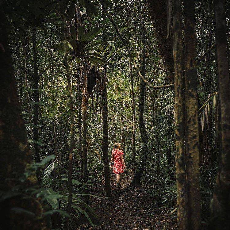 instagram.com/masoalaforestlodge