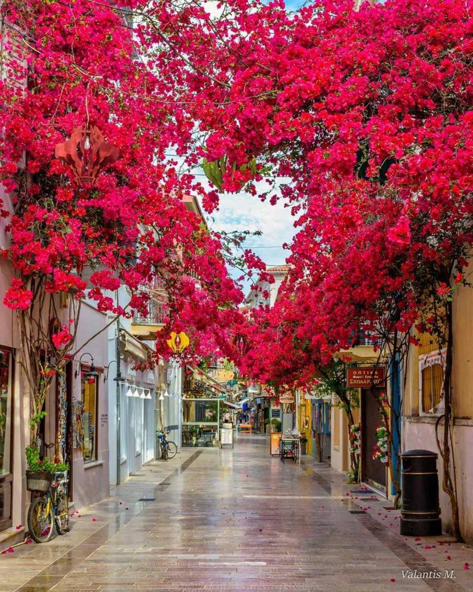 Instagram.com/minogiannisvalantis