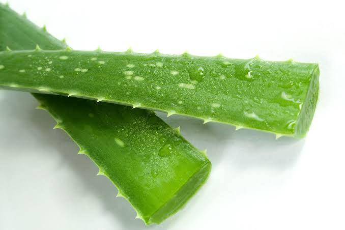 diysoap.nl