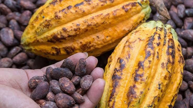 nationalgeographic.co.uk