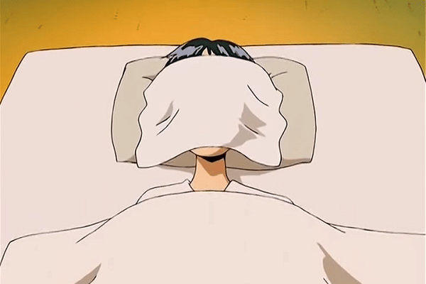 Toei Animation/One Piece