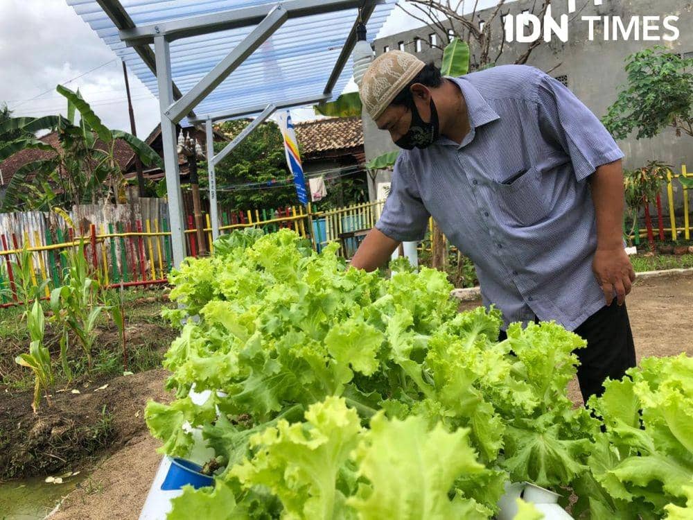 Cocok tanam masyarakat kampung untuk ketahanan pangan (IDN Times/Rangga Erfizal)