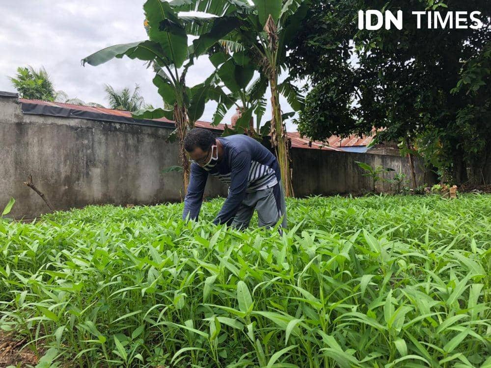 Ketua RT 098, Agus saat mengecek tanaman hasil kolektif bersama (IDN Times/Rangga Erfizal)