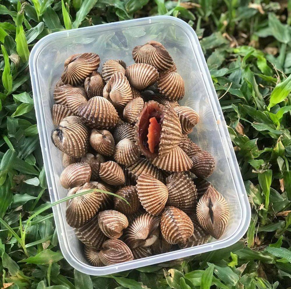 instagram.com/djangkar.seafood