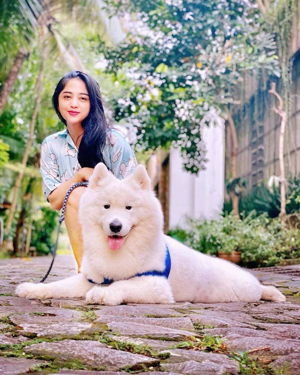 Instagram.com/dewiperssikreal