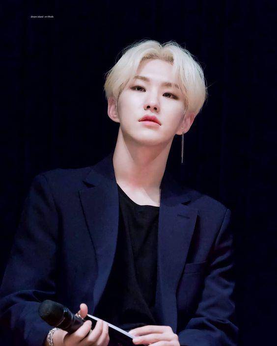 Instagram.com/svt_hoshiii