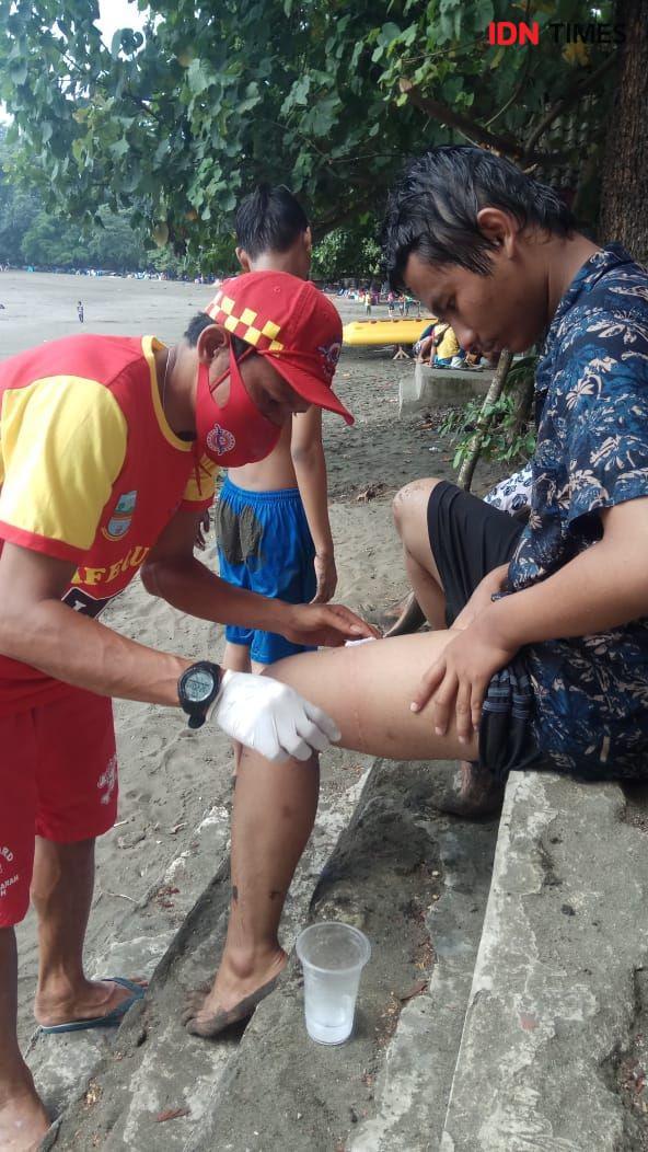 Ubur-ubur Biru Menyerang Sejumlah Wisatawan di Pantai Batukaras
