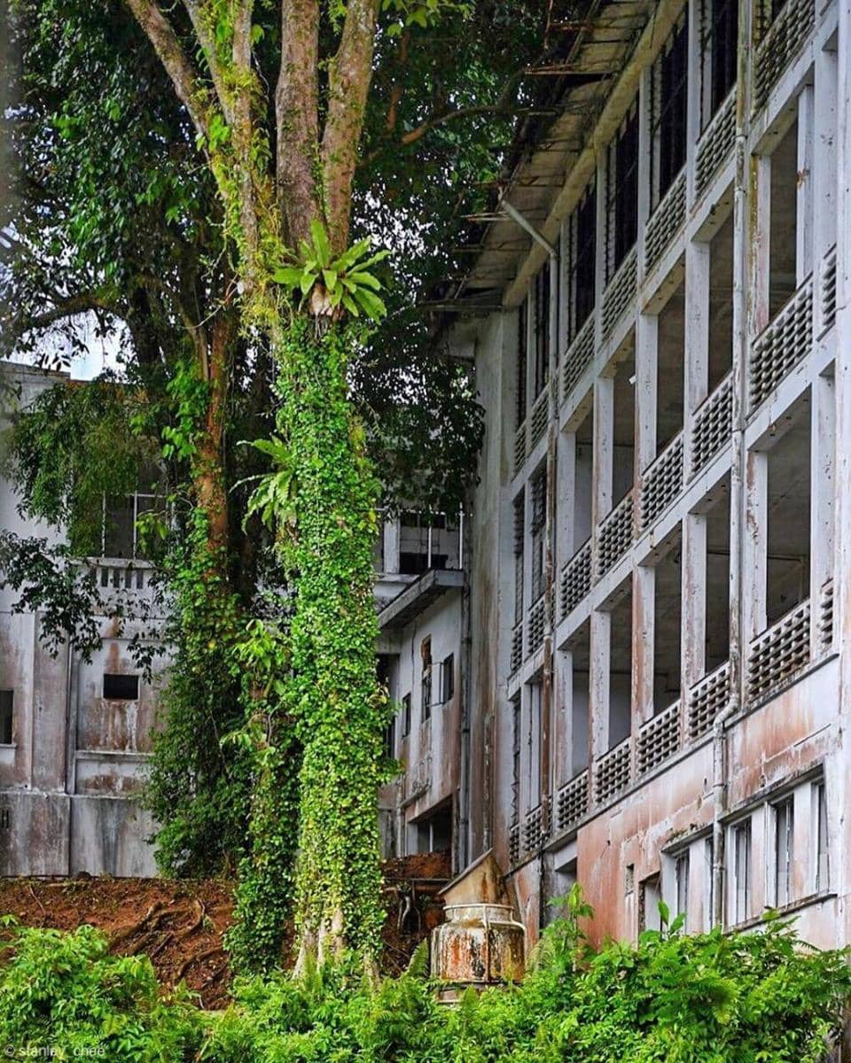 instagram.com/stanley_chee