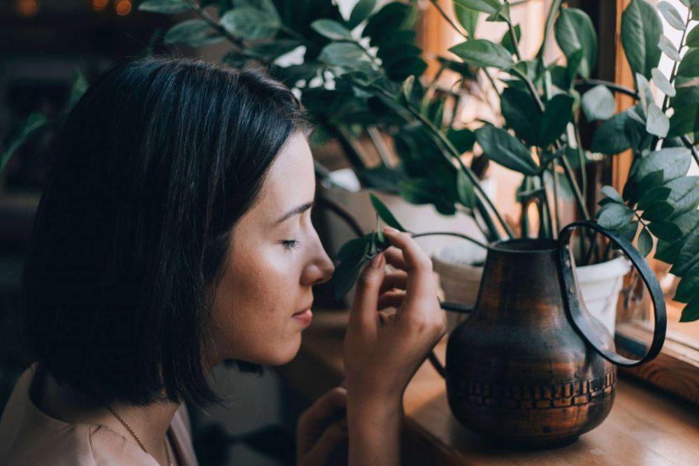 Cara Mempercepat Proses Penyembuhan Anosmia