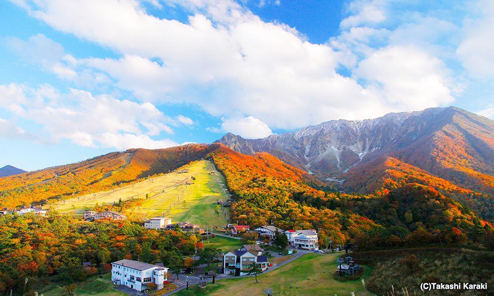 japan-magazine.jnto.go.jp