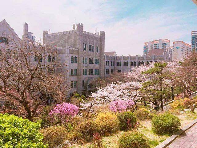 Facebook.com/DongdukWomen'sUniversity
