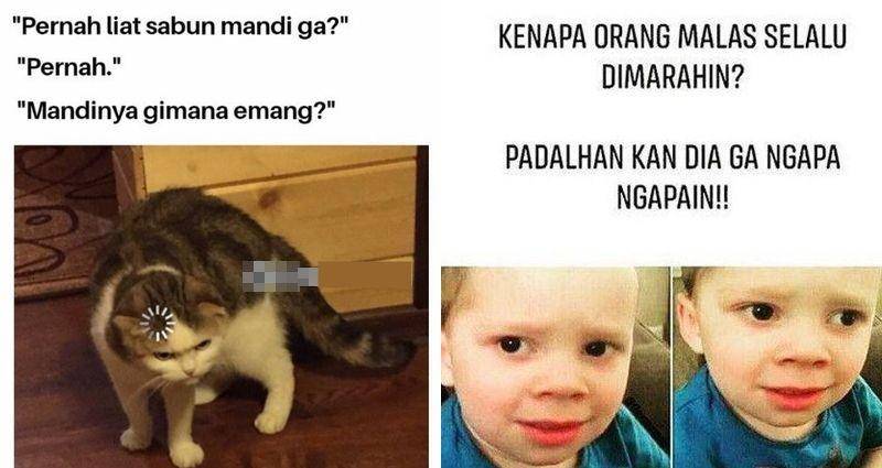 Berbagai sumber