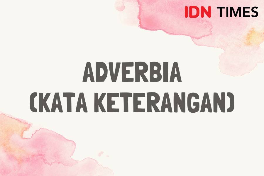 IDN Times/M. Tarmizi Murdianto