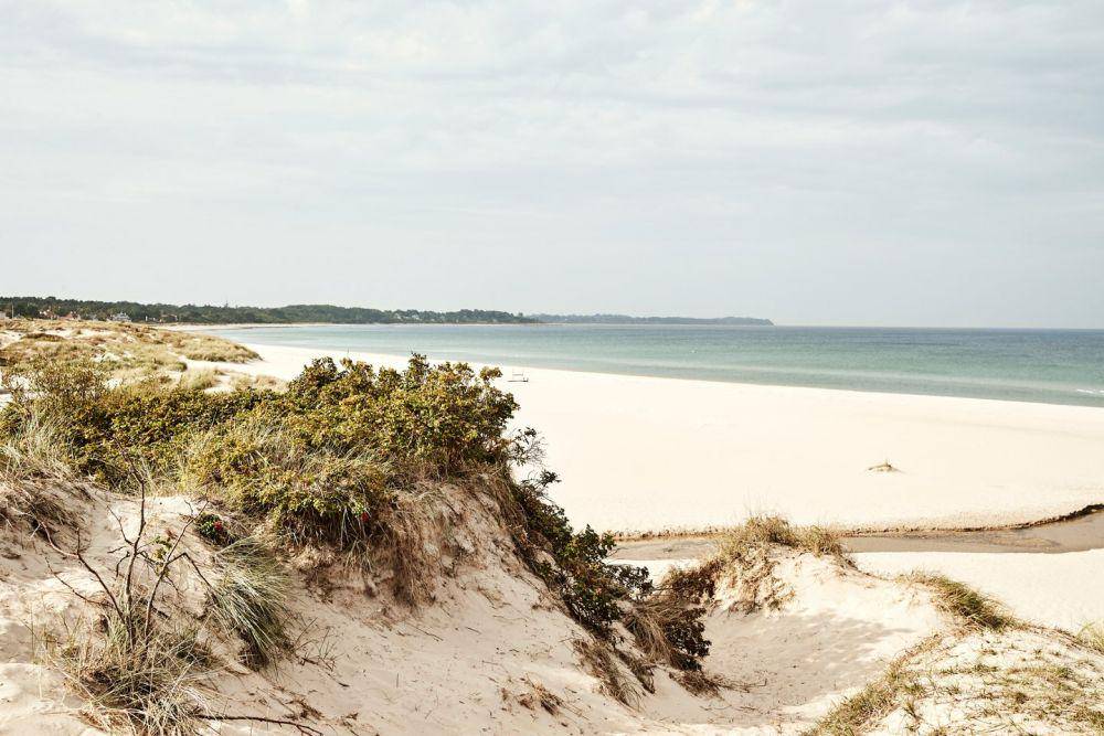 visitdenmark.com