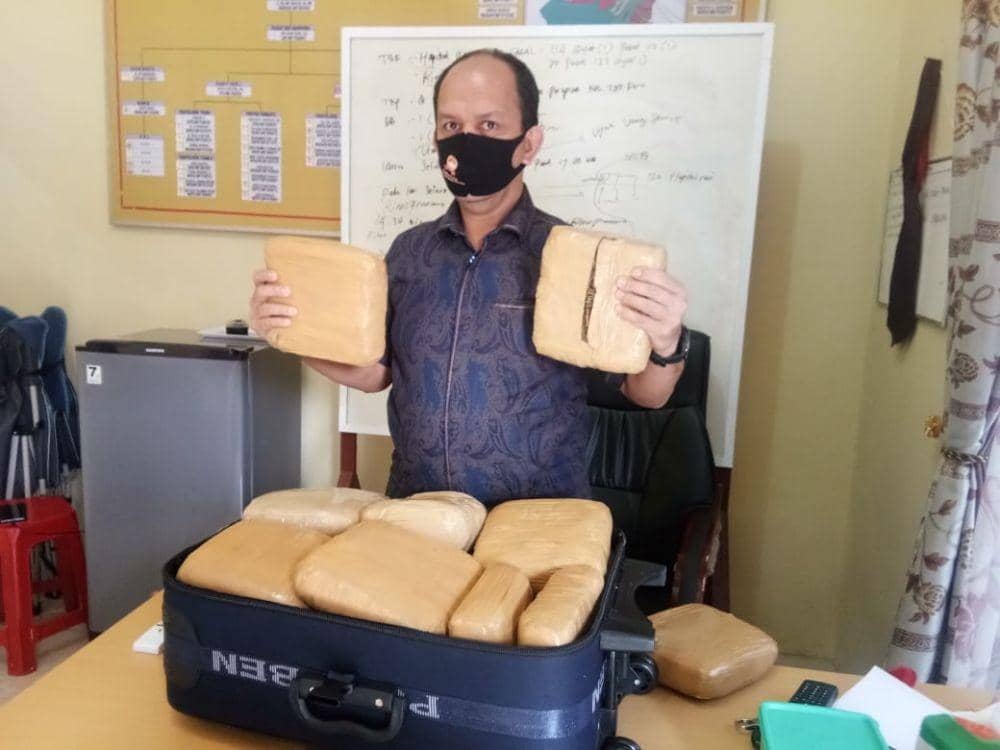 Barang bukti daun ganja kering yang berhasil disita petugas kepolisian Sat Narkoba Polres Langkat (IDN Times/ istimewa)