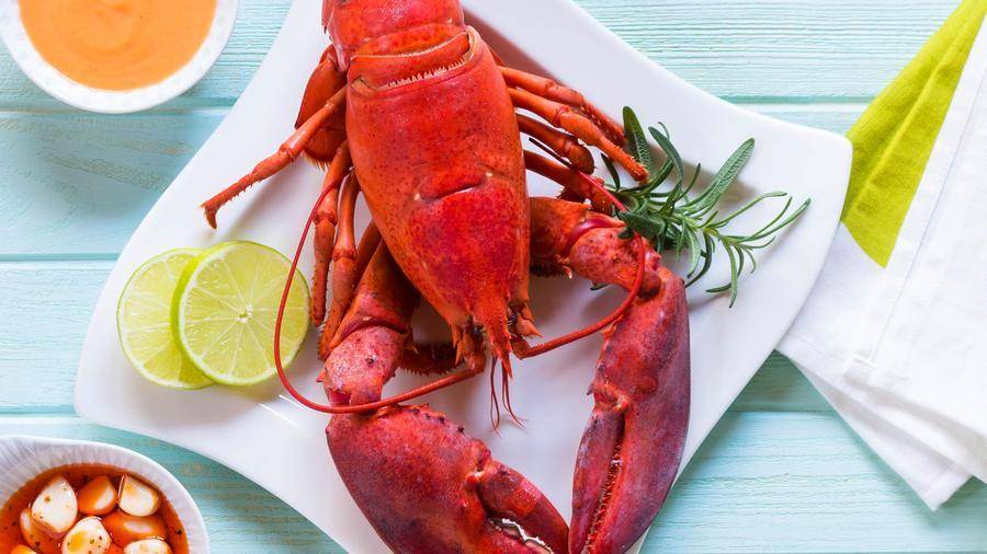 getmainelobster.com