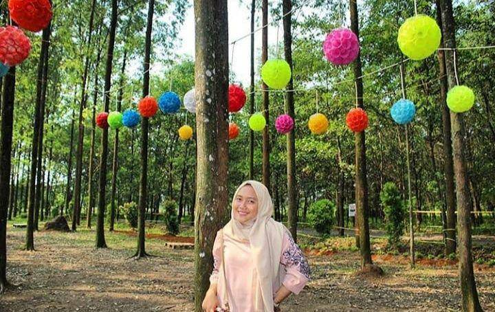 Instagram.com/HutanKertas