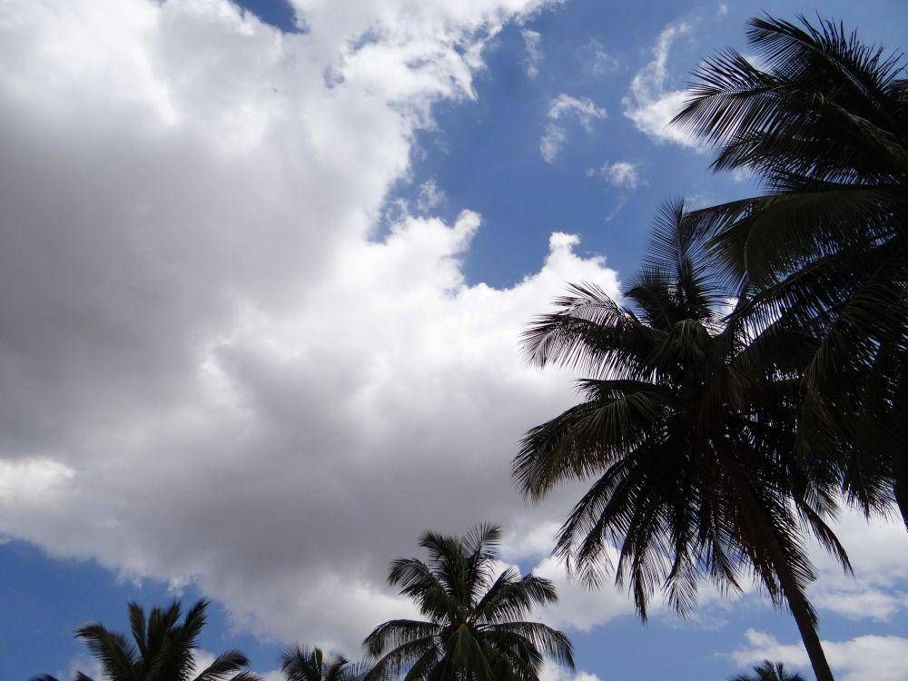 ilustrasi awan stratocumulus (pixabay.com/sarangib)