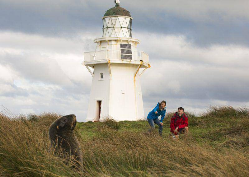 southlandnz.com