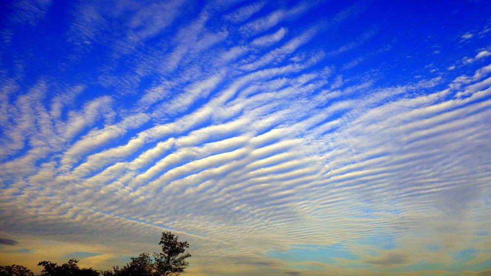ilustrasi cirrocumulus (pixabay.com/jamie_nakamura)