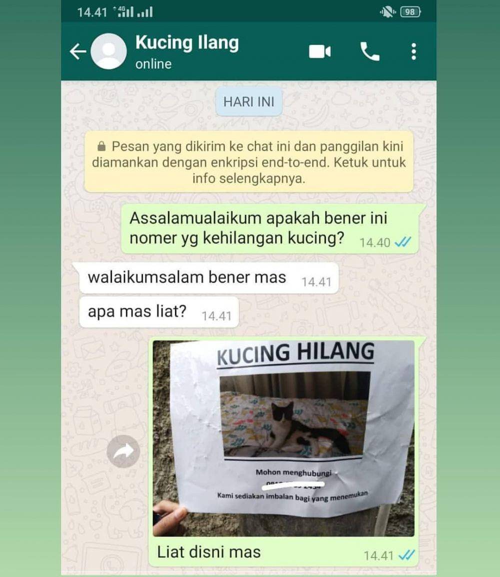 Instagram.com/halewwww