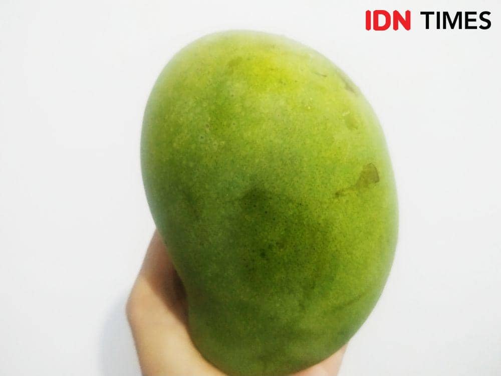 IDN Times / Auriga Agustina