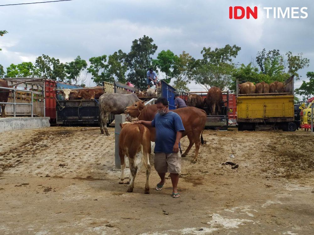 Pasar Hewan Ambarketawang. IDN Times/Siti Umaiyah