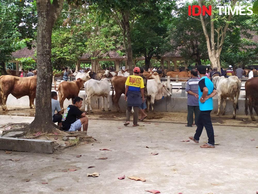 Pasar Hewan Ambarketawang. IDN Times/Siti Umaiyah