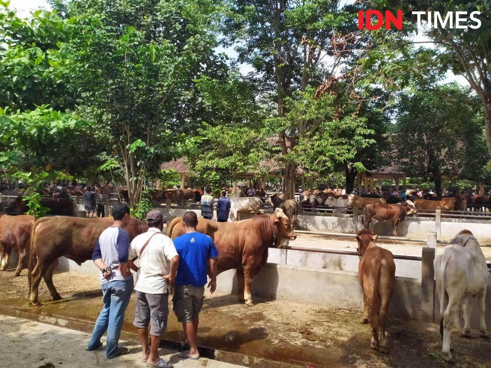 Pasar Hewan Ambarketawang. IDN Times/Siti Umaiyah