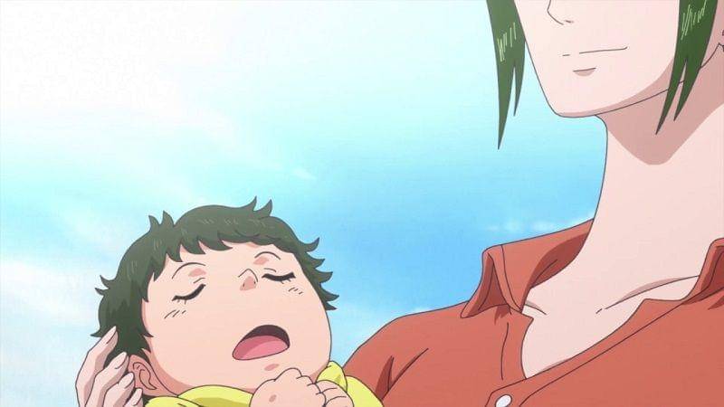 Toei Animation/One Piece