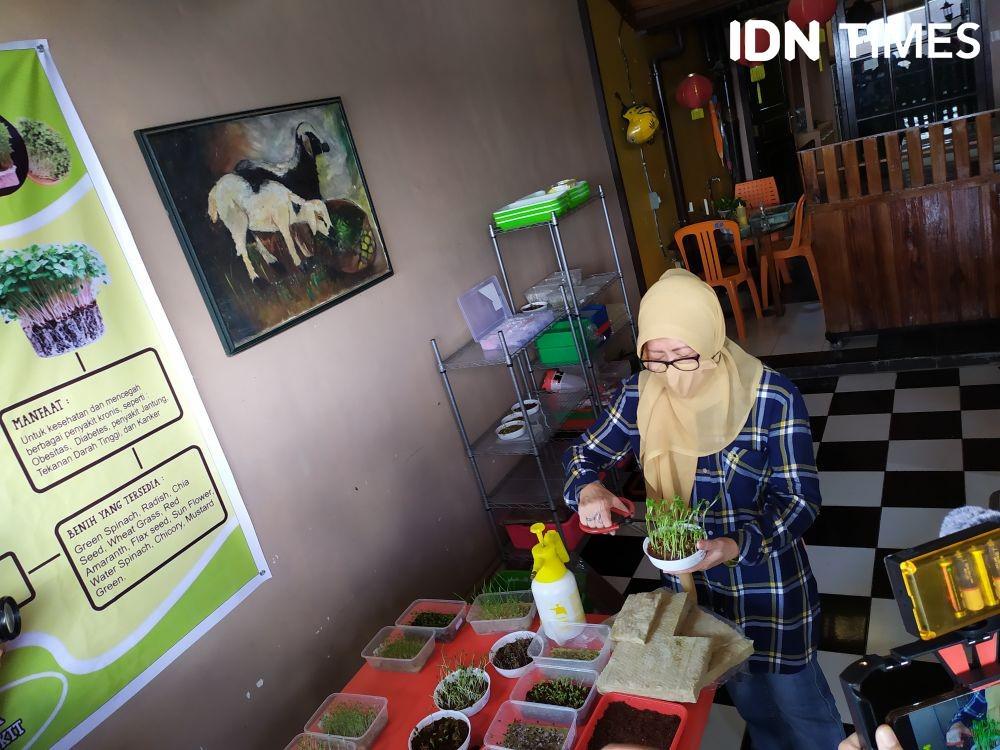 Urban Farming menanam sayur belia non pestisida (IDN Times/Feny Maulia Agustin)
