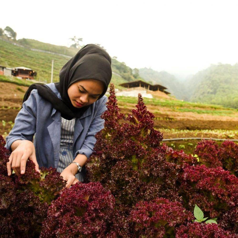 Instagram/lembahindah