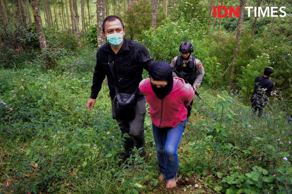 Diringkus Polisi, Petani Ganja di Bandung Raup Rp240 Juta Sekali Panen