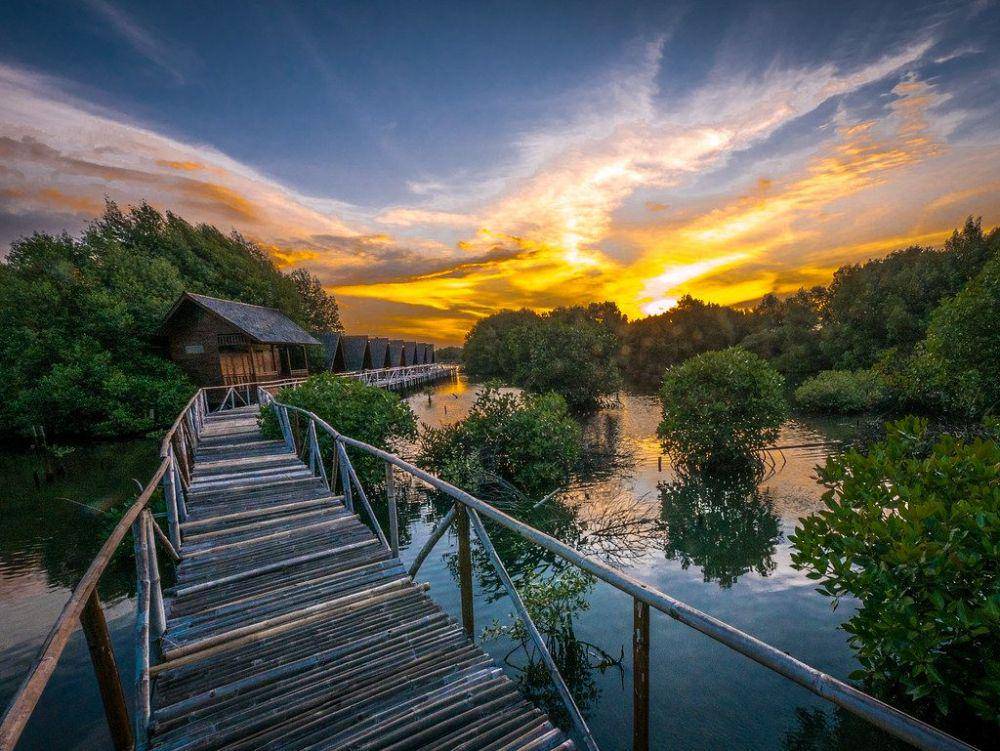 Potret Hutan Mangrove PIK, Jakarta Utara (superadventure.co.id)