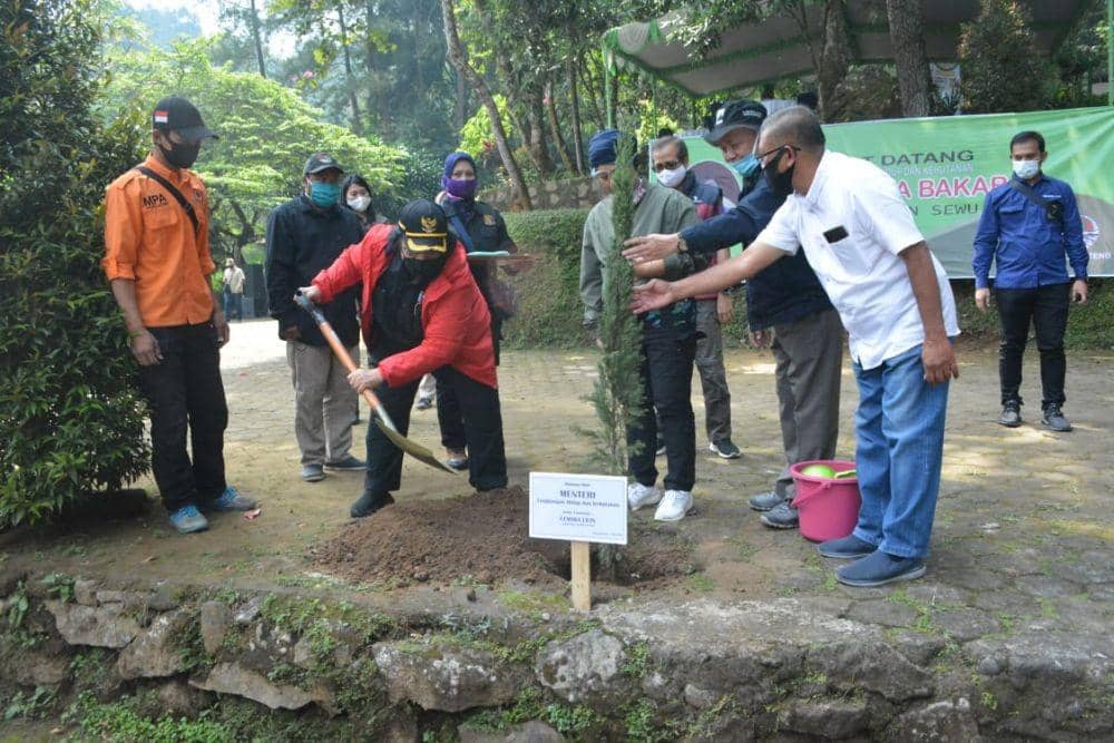 Menteri Siti Nurbaya Bakar menanam cemara lilin di Grojogan Sewu. Dok humas BKSDA Jateng