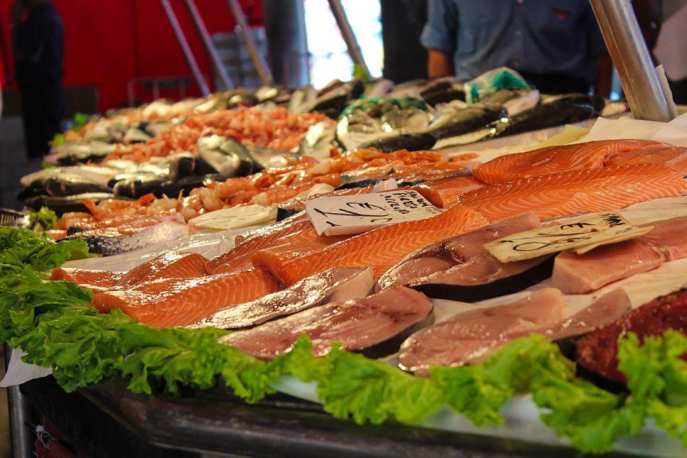 ilustrasi ikan (Pixabay/PICNIC-Foto-Soest)
