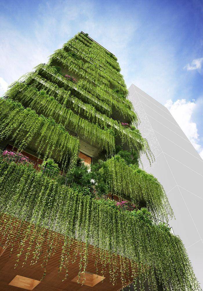 archdaily.com